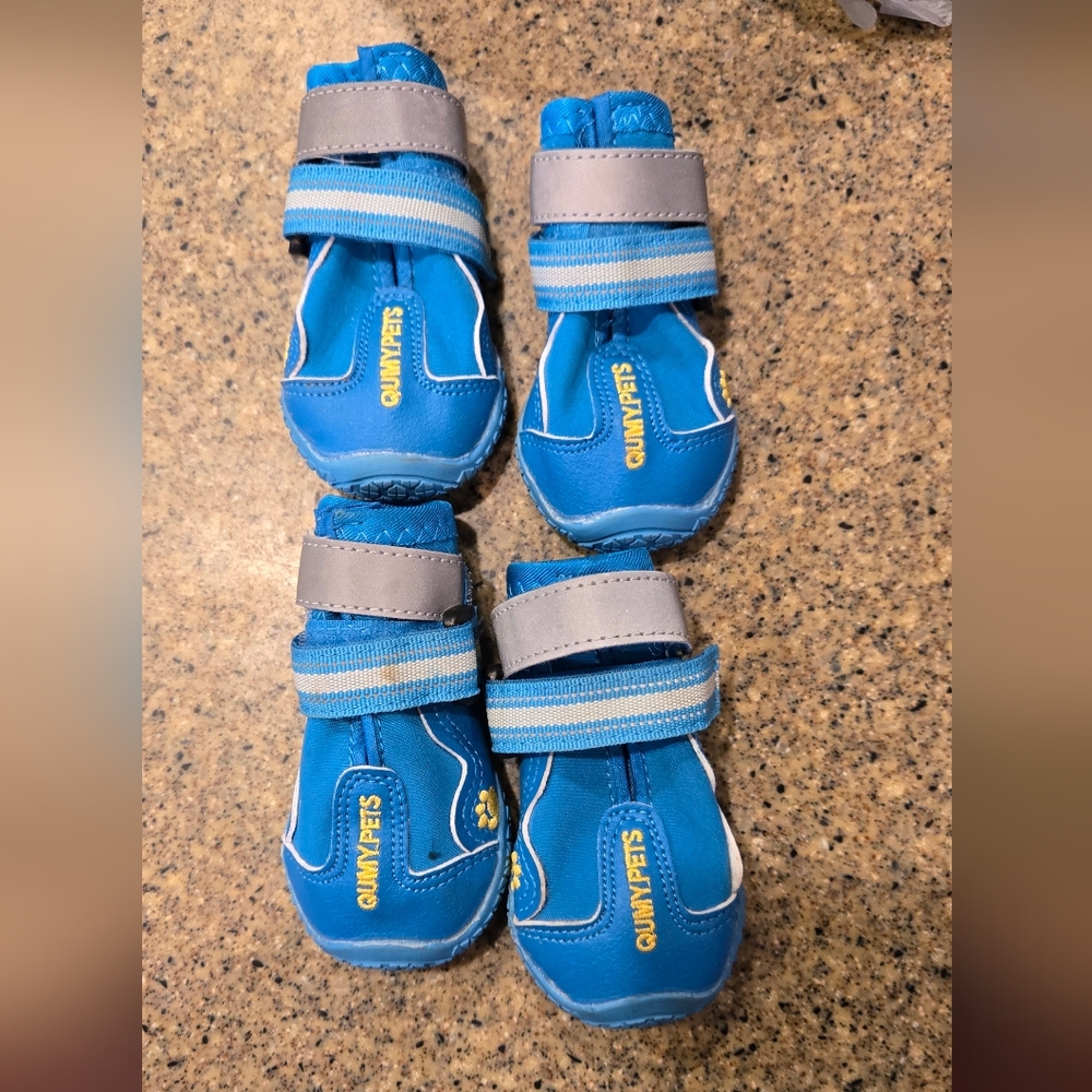 Qumypets shoes size 1
